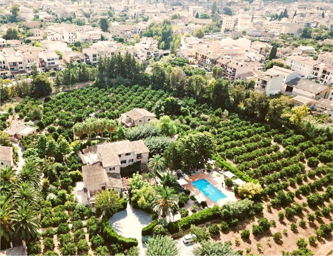 Ca's Curial - - Adults Only Soller
