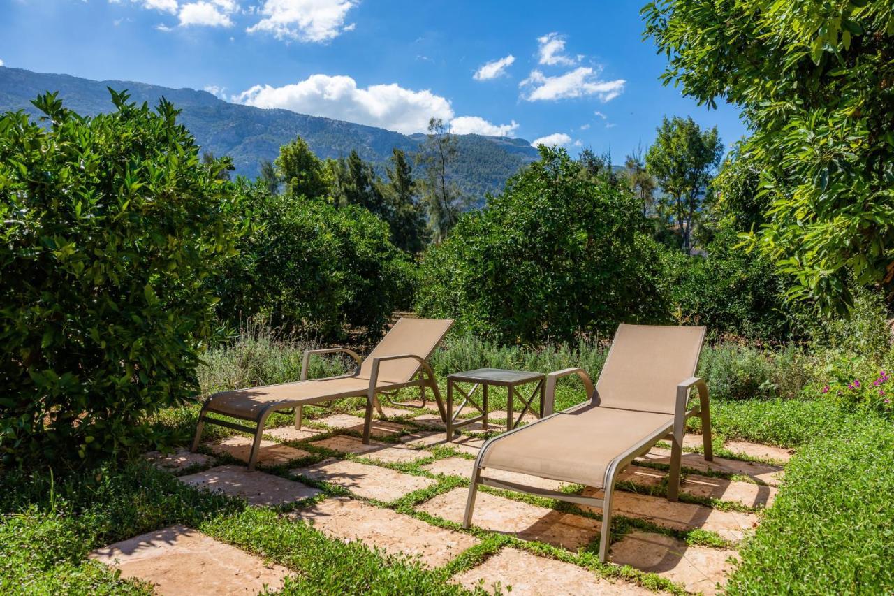 Ca's Curial - - Adults Only Farm stay