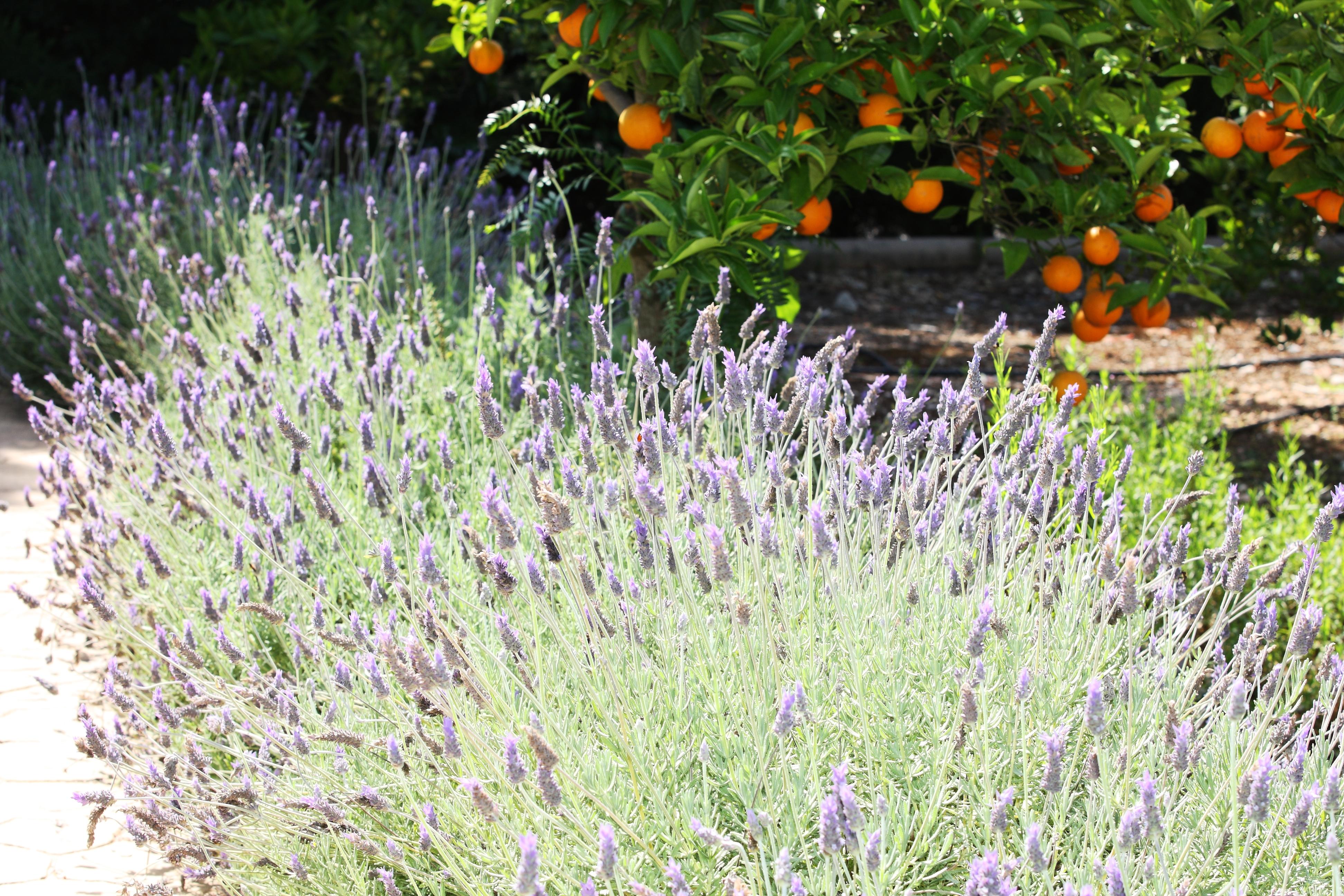 Ca's Curial - - Adults Only Farm stay