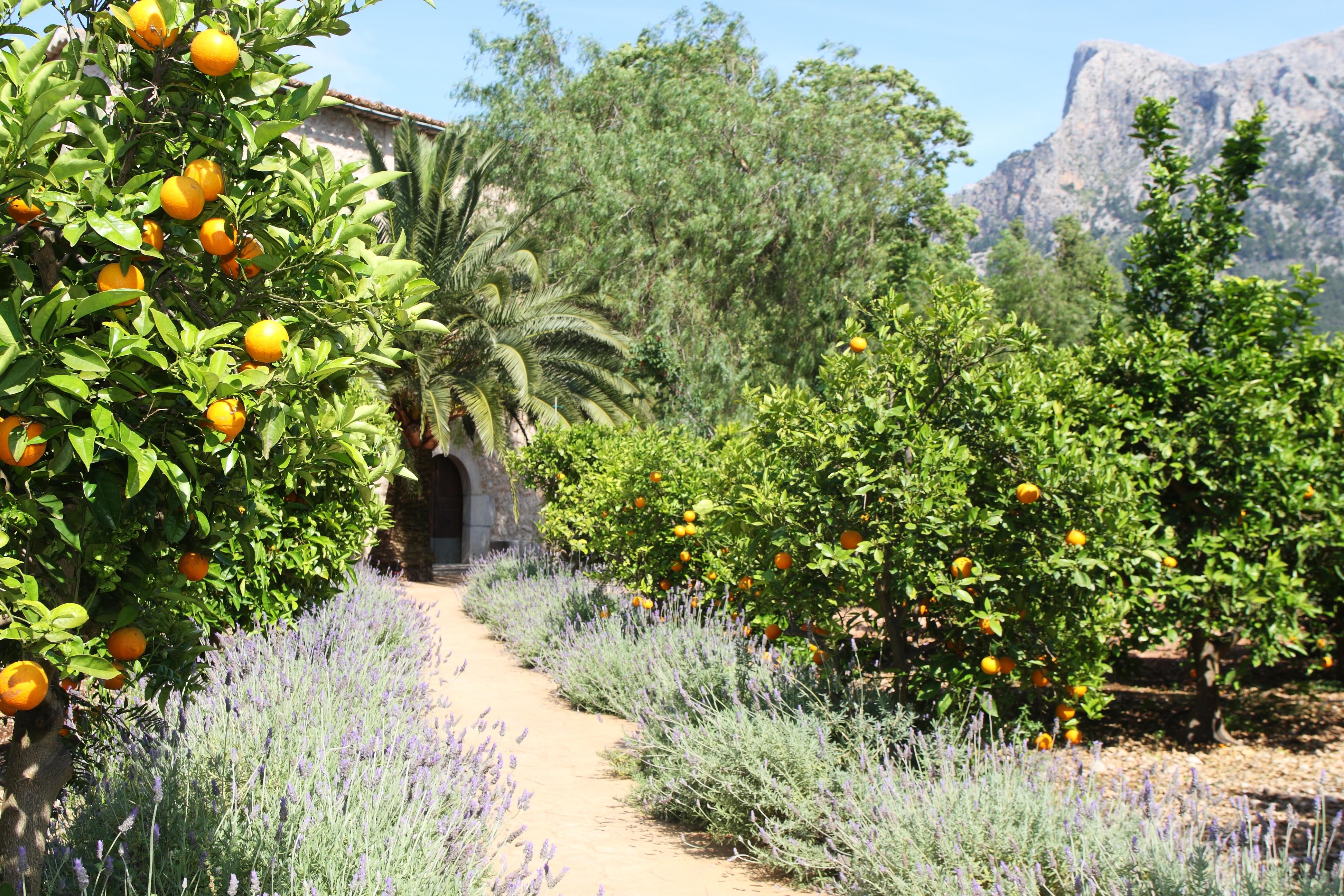 Ca's Curial - - Adults Only Farm stay *
