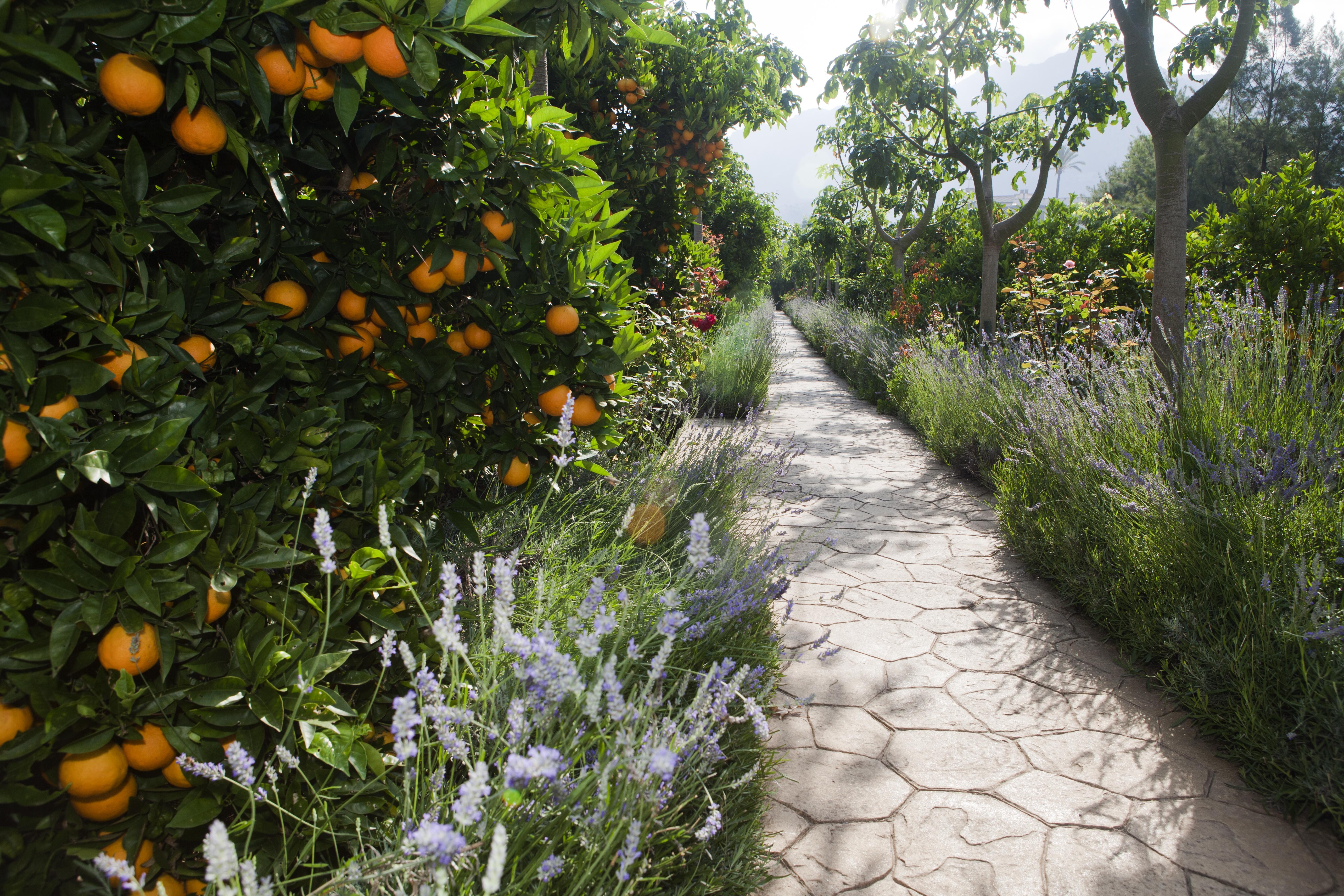 Farm stay Ca's Curial - - Adults Only *