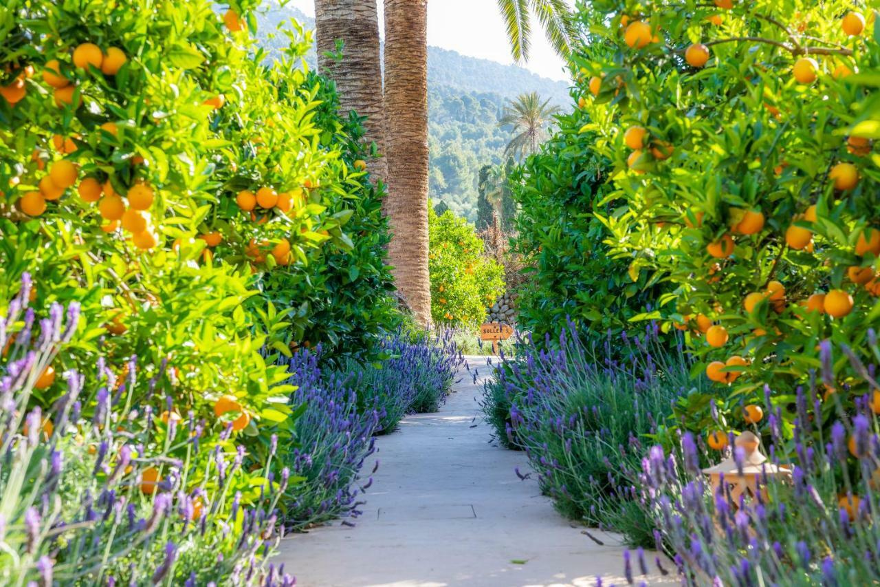 Ca's Curial - - Adults Only Farm stay Soller