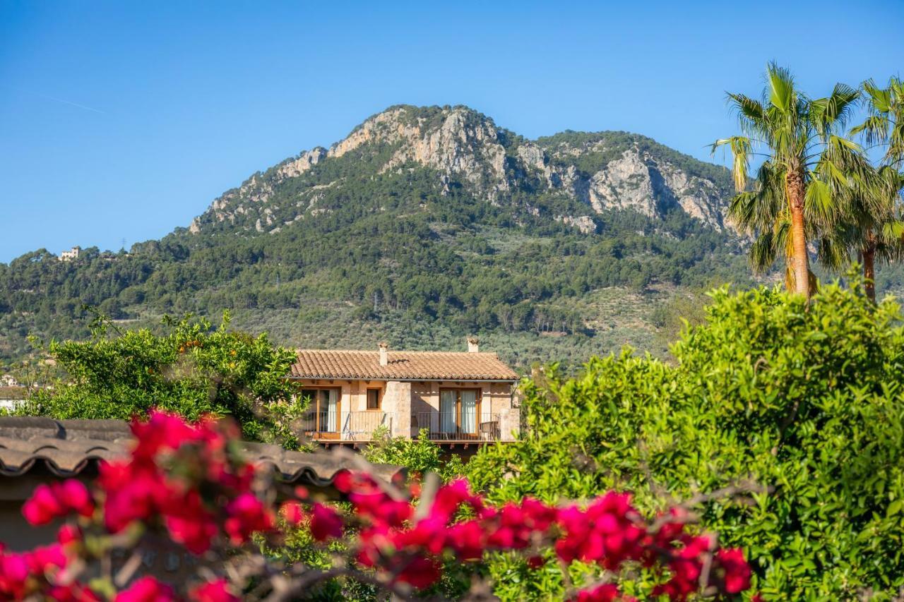 Ca's Curial - - Adults Only Farm stay Soller