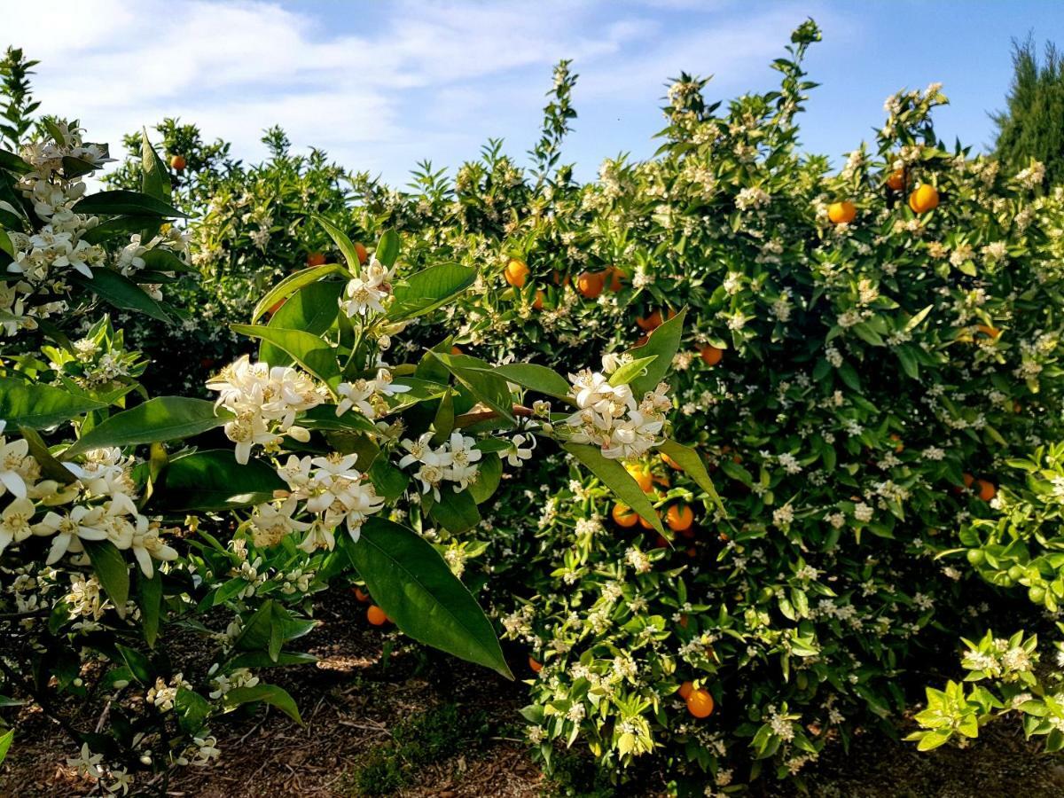 Ca's Curial - - Adults Only Farm stay *