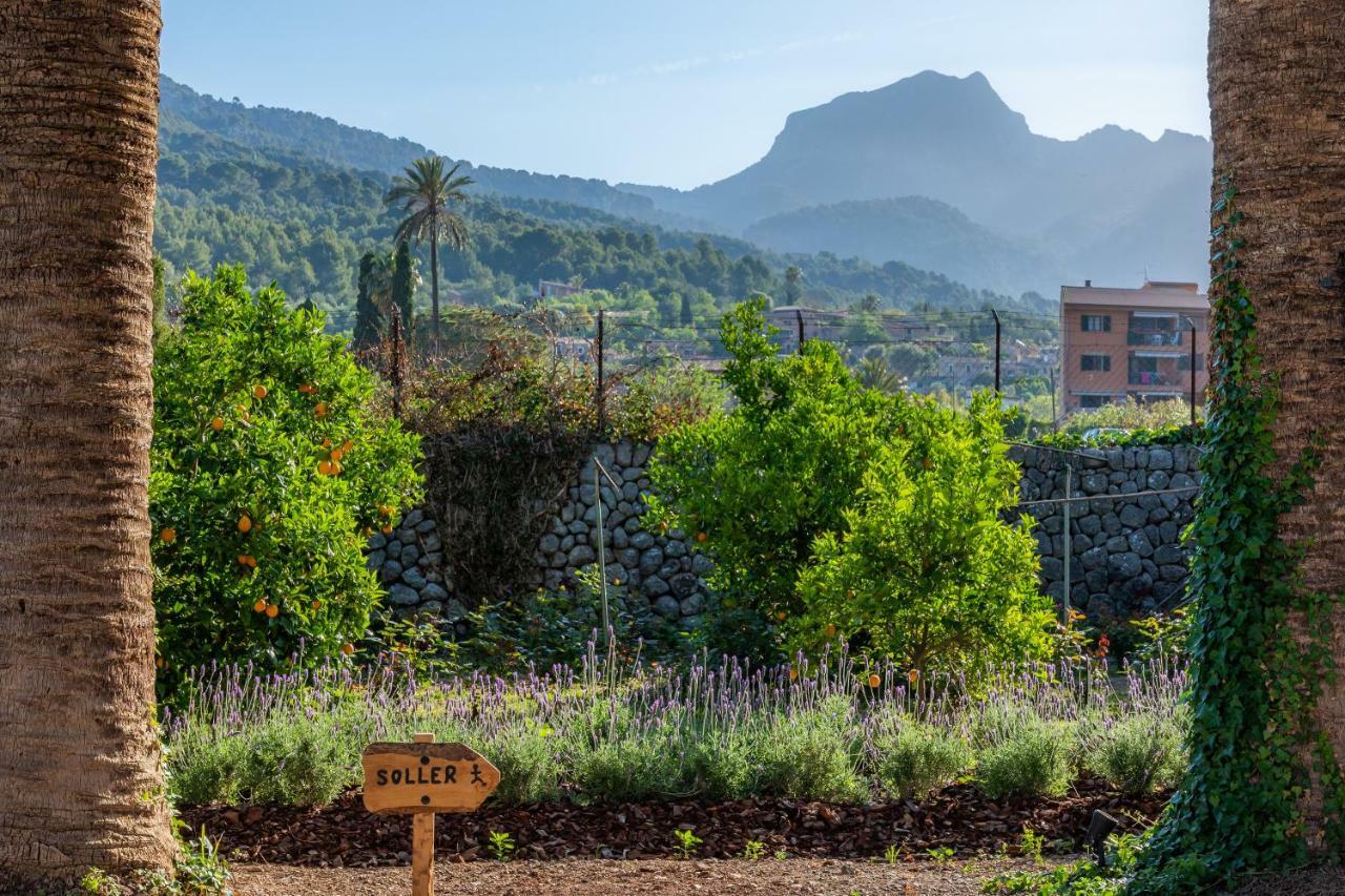 Farm stay Ca's Curial - - Adults Only Soller