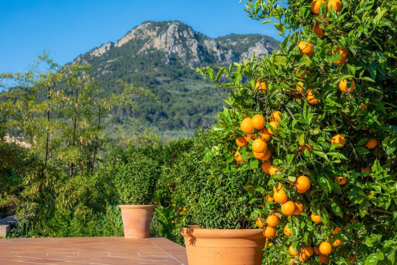 Farm stay Ca's Curial - - Adults Only *