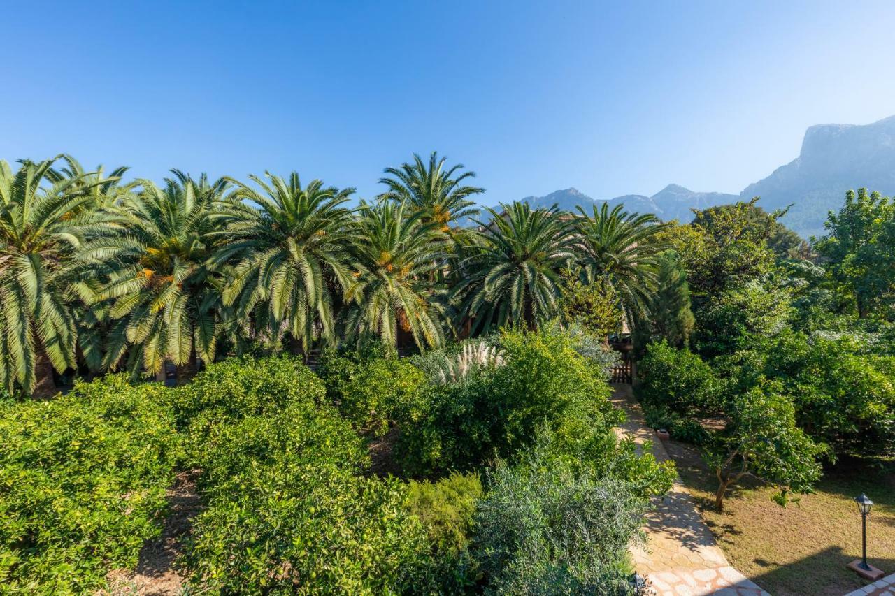 Ca's Curial - - Adults Only Farm stay Soller