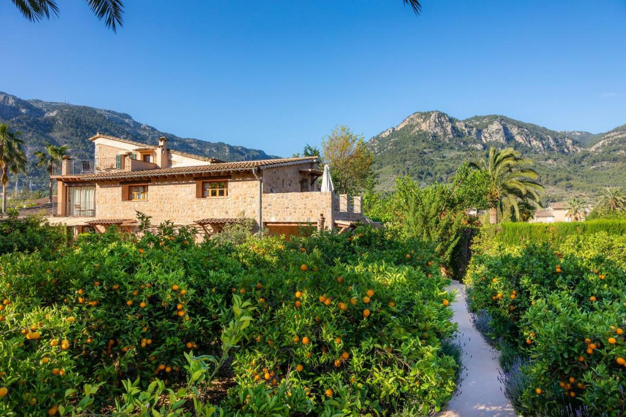 Ca's Curial - - Adults Only Soller