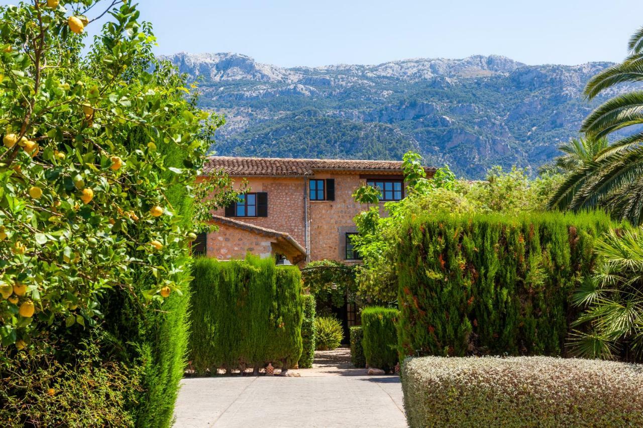 Ca's Curial - - Adults Only * Soller